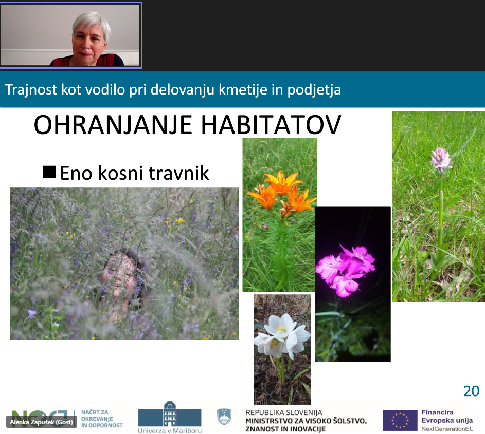 ohranjanje habitatov povečuje biodiverziteto.